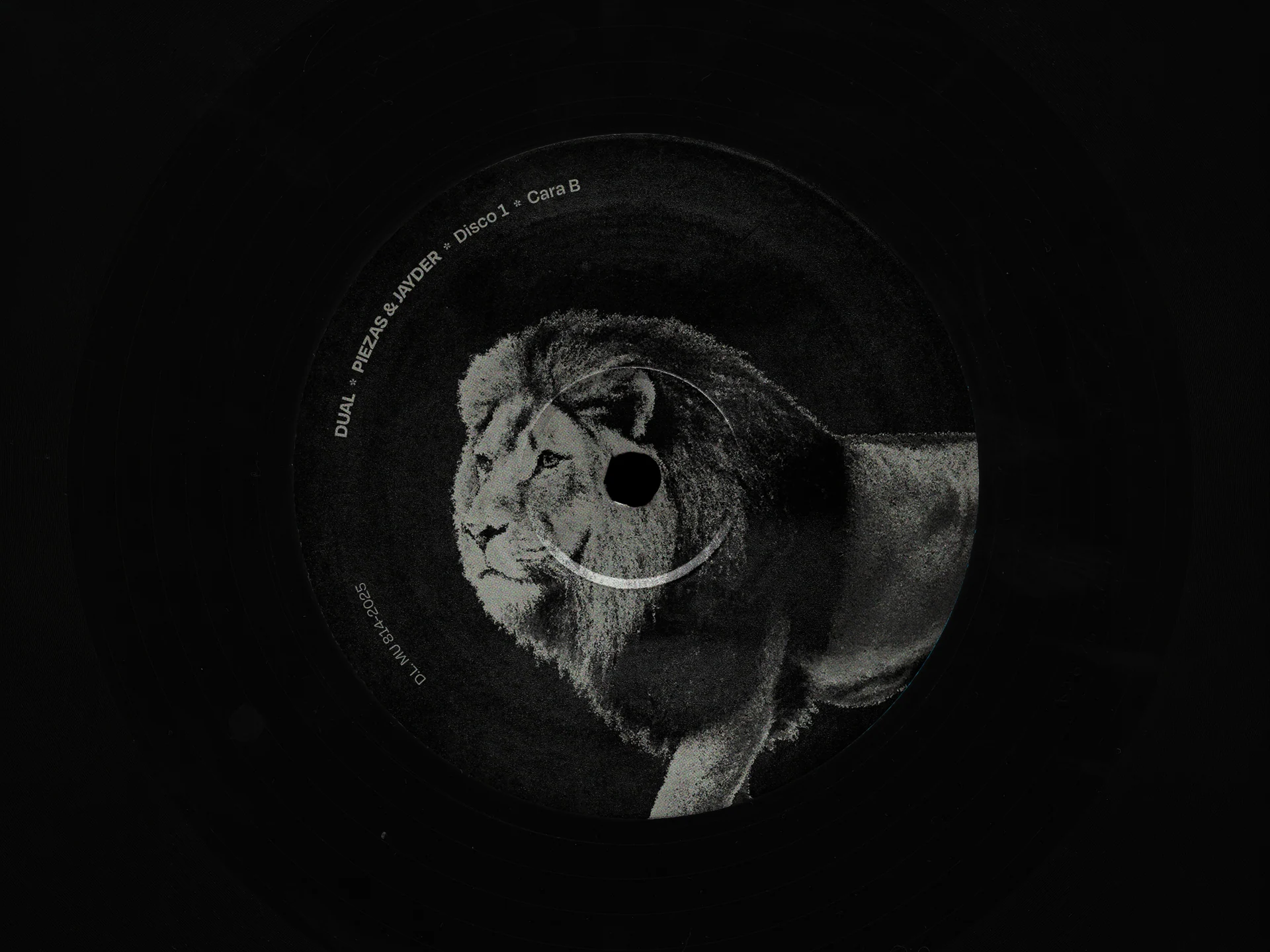 Dual · Diseño del disco 2