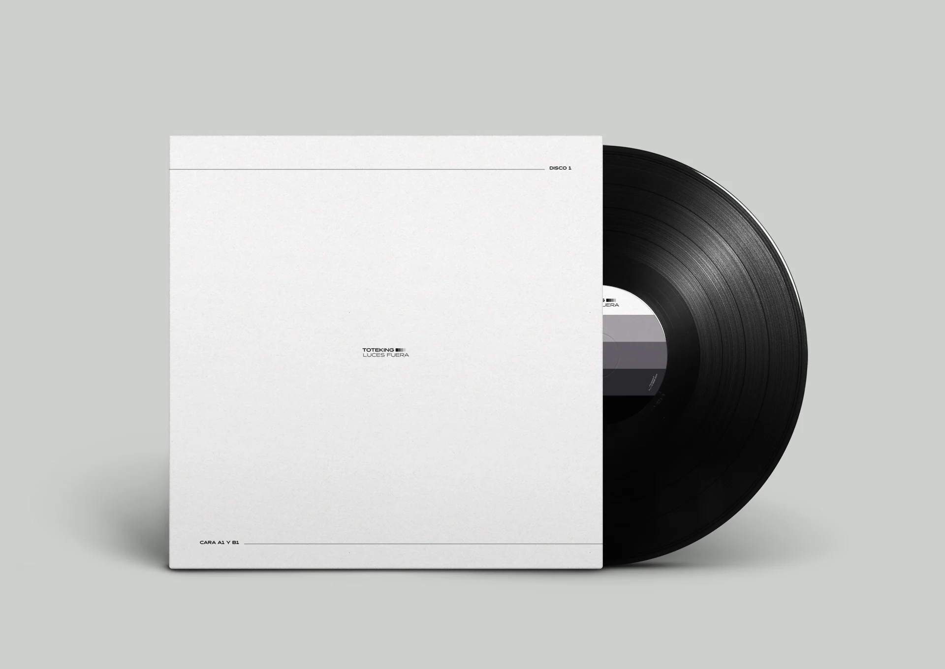 Funda del vinilo